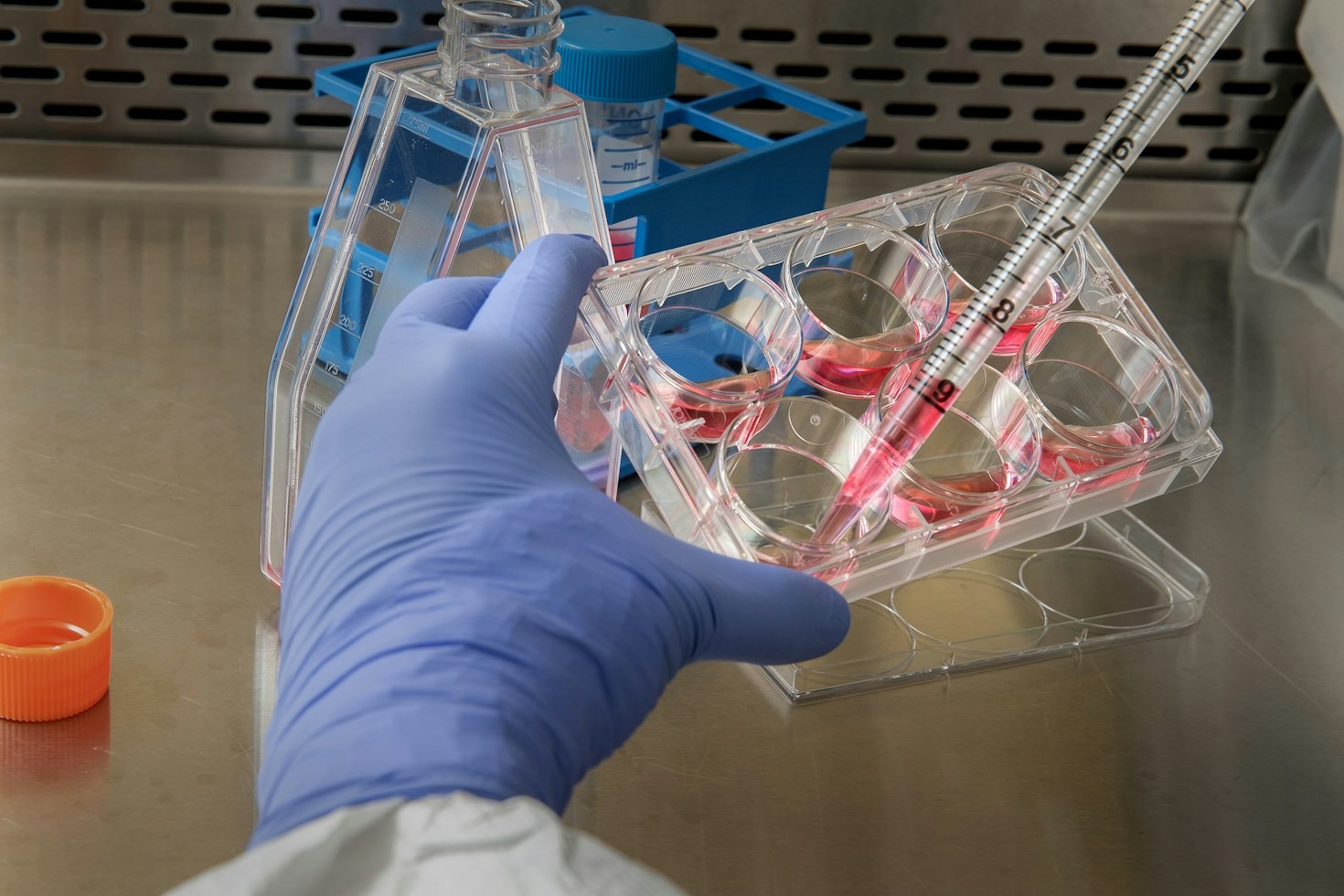 From Laboratory Bench to Global Bedside: Our Journey